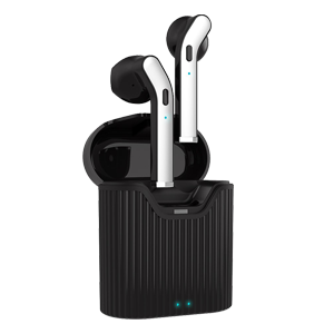 pTron Bassbuds Classic True Wireless Earbuds with mic, Bluetooth 5.0, Upto to 12 Hrs Playtime Combined with case (Black)